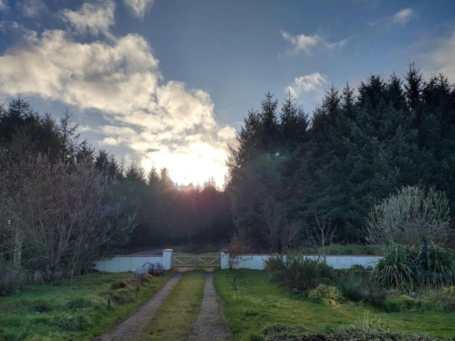 Forest View Cabin Ballaghaderreen Exterior photo