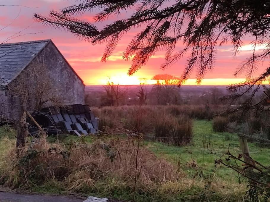 Forest View Cabin Ballaghaderreen Exterior photo
